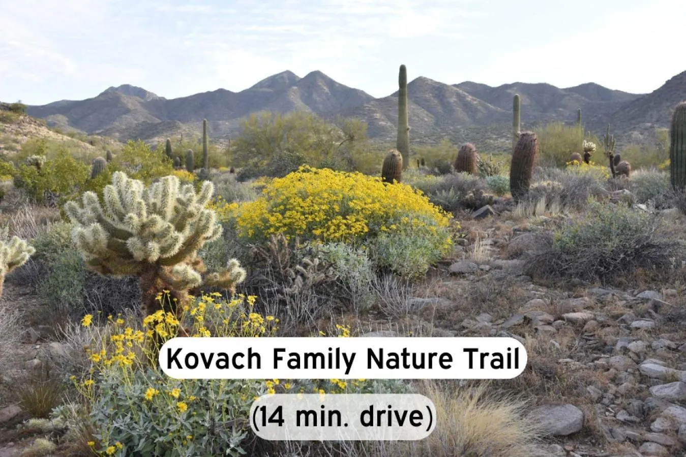Apartmán Relaxing 2Br - Scottsdale, Pet-Friendly, Sunrise Peak USA